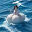 用户「上海研究生小张」头像